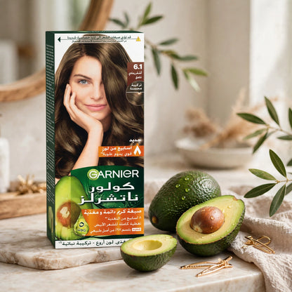 GARNIER COLOR NATURALS 6.1 DARK BLONDE