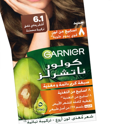 GARNIER COLOR NATURALS 6.1 DARK BLONDE