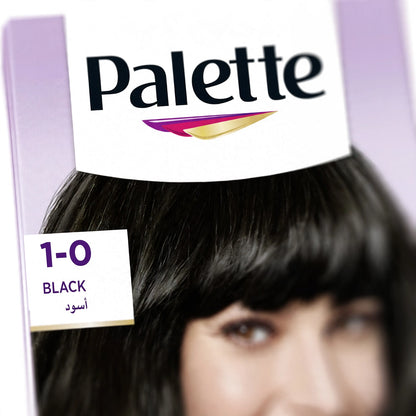 palette intensive color creme black 1-0